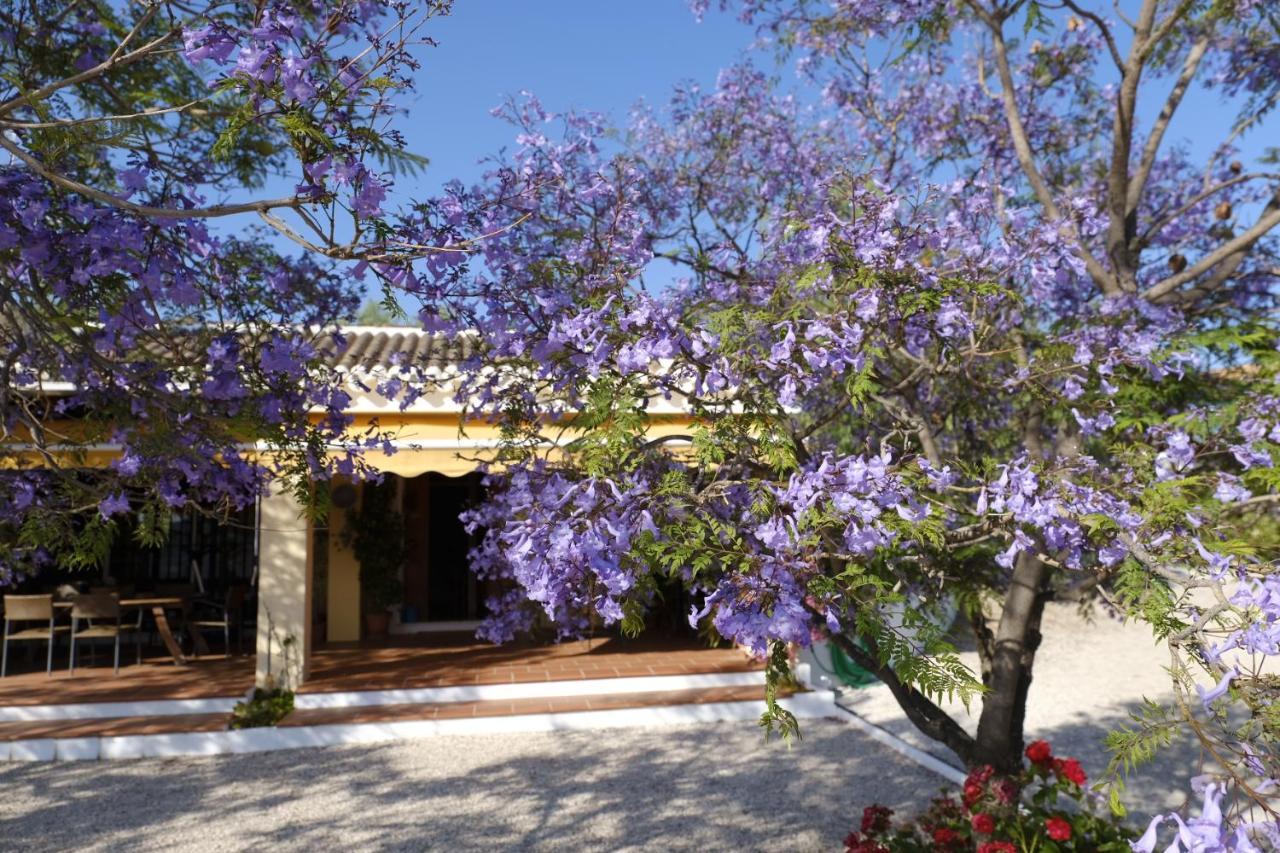 Finca Gordo Riogordo Ngoại thất bức ảnh