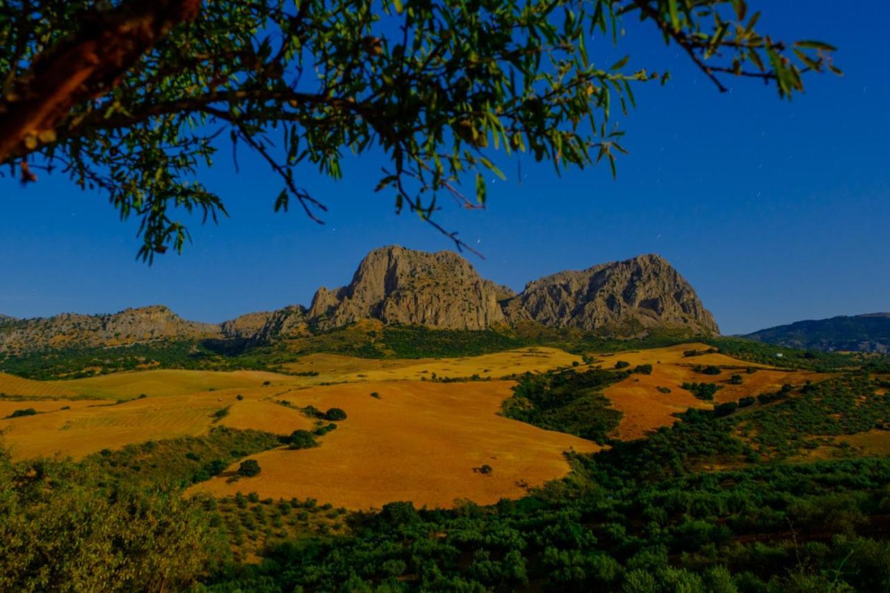 Finca Gordo Riogordo Ngoại thất bức ảnh