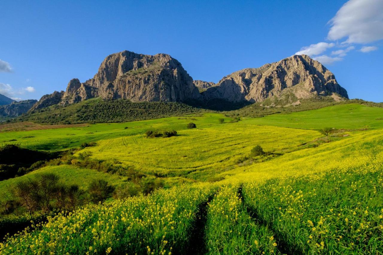 Finca Gordo Riogordo Ngoại thất bức ảnh